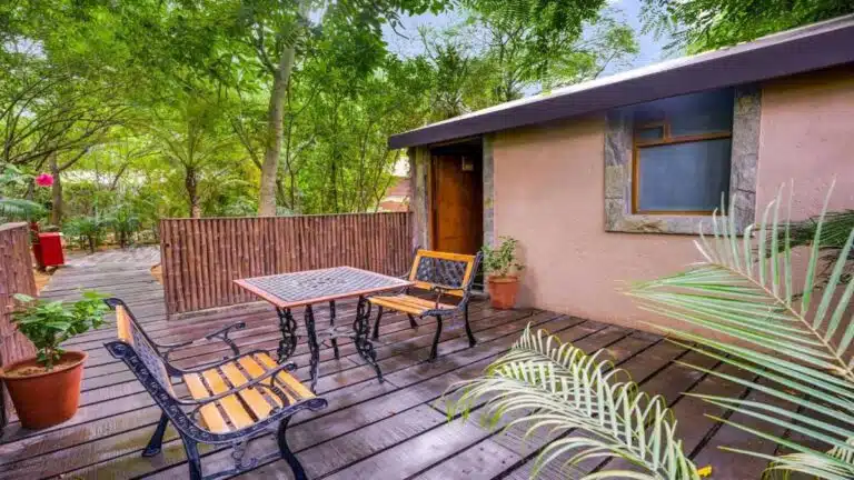 The Tree House Resort, जयपुर: प्रकृति की गोद में एक शाही अनुभव