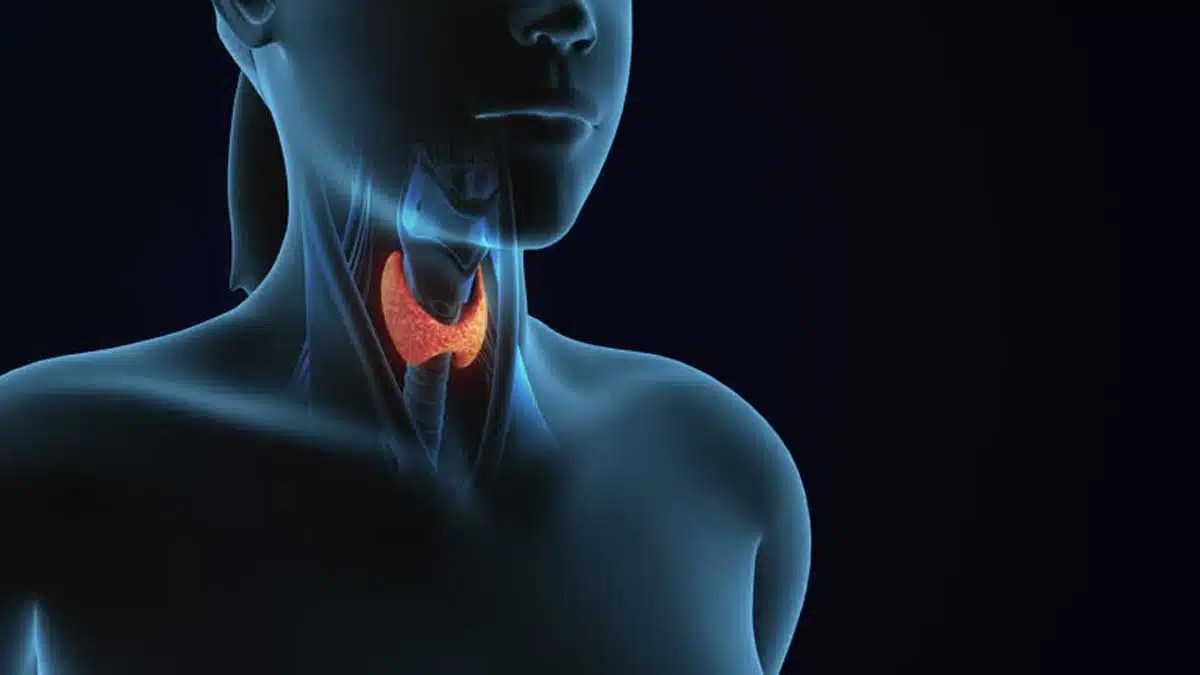 Thyroid Disease: Causes, Symptoms, Treatment