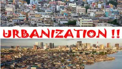 Urbanization in India and Its Impact