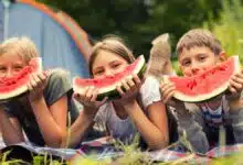 Watermelon or poison? Danger hidden in summer