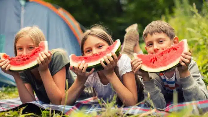 Watermelon or poison? Danger hidden in summer