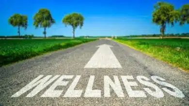 Health and Wellness: The Key to a Balanced