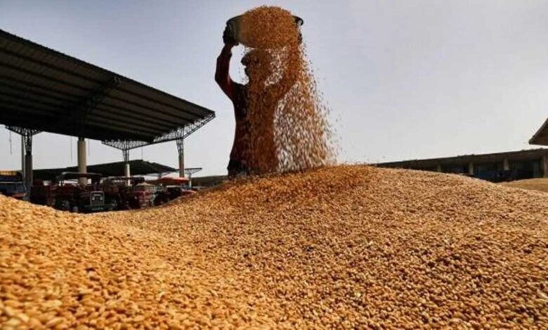 Wheat procurement in UP crossed 1 lakh ton mark