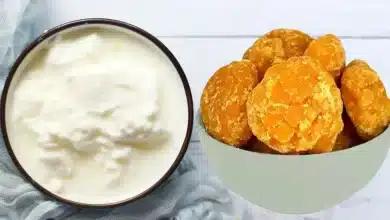 Yogurt and Jaggery Super Healthy Combo for Digestion!