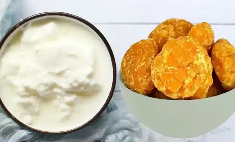 Yogurt and Jaggery Super Healthy Combo for Digestion!