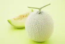 You will get these 8 amazing benefits by eating Melon!