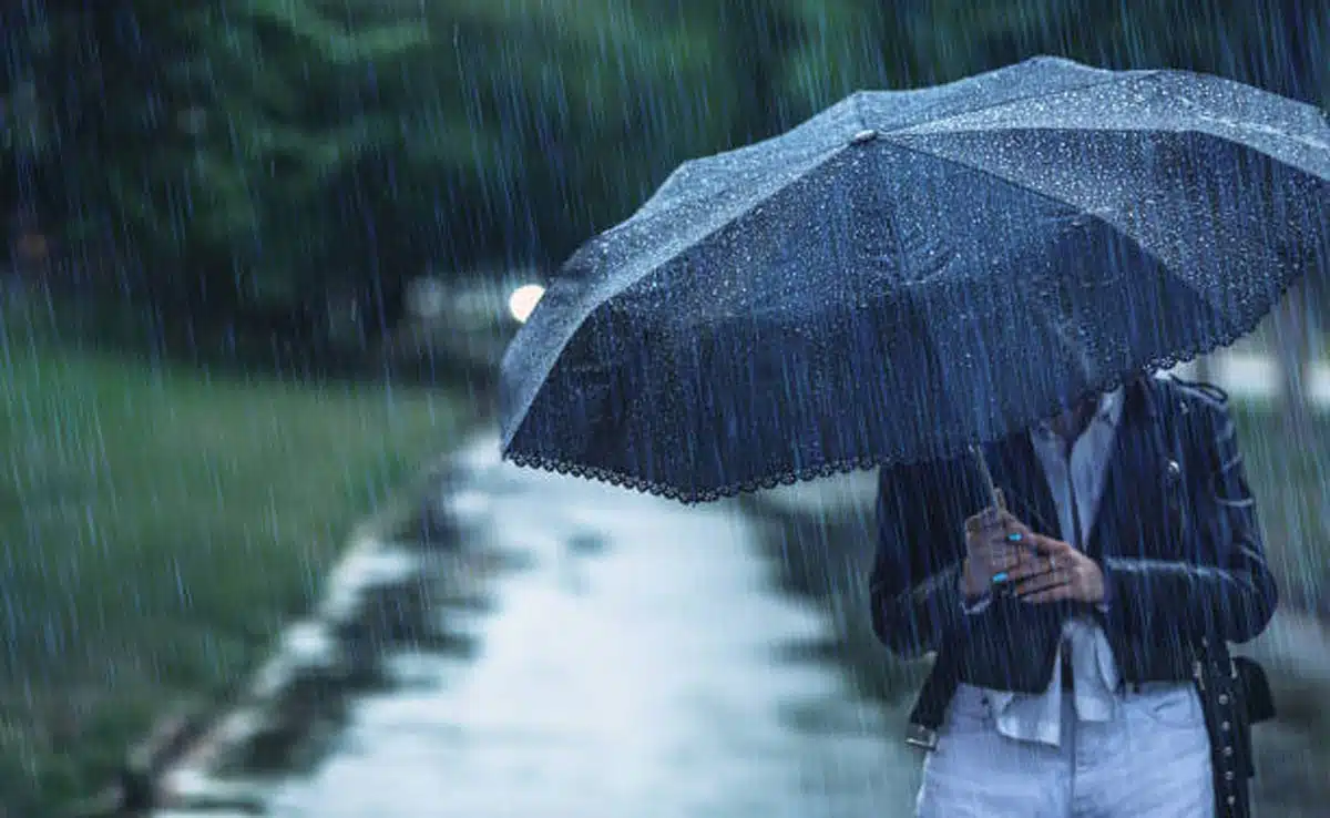 IMD forecast: Some relief in North India from tomorrow, rain expected in these states