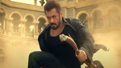 Sikandar's shine faded, earned only 4 lakhs on the 24th day