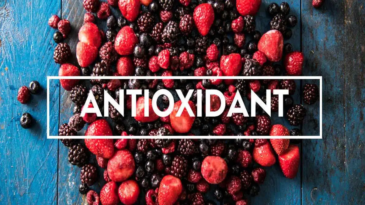 Antioxidant-Rich Diet: Protecting the Body