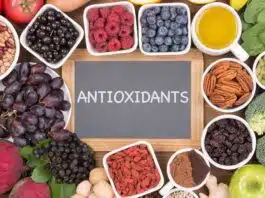 Antioxidant-Rich Diet: Protecting the Body