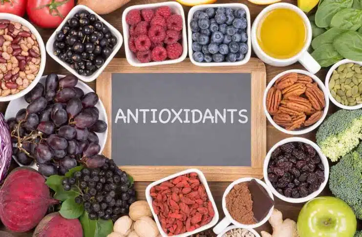 Antioxidant-Rich Diet: Protecting the Body