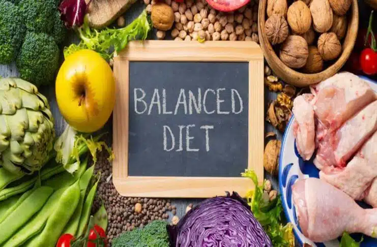 Balanced Diet: The Key to a Healthy Life