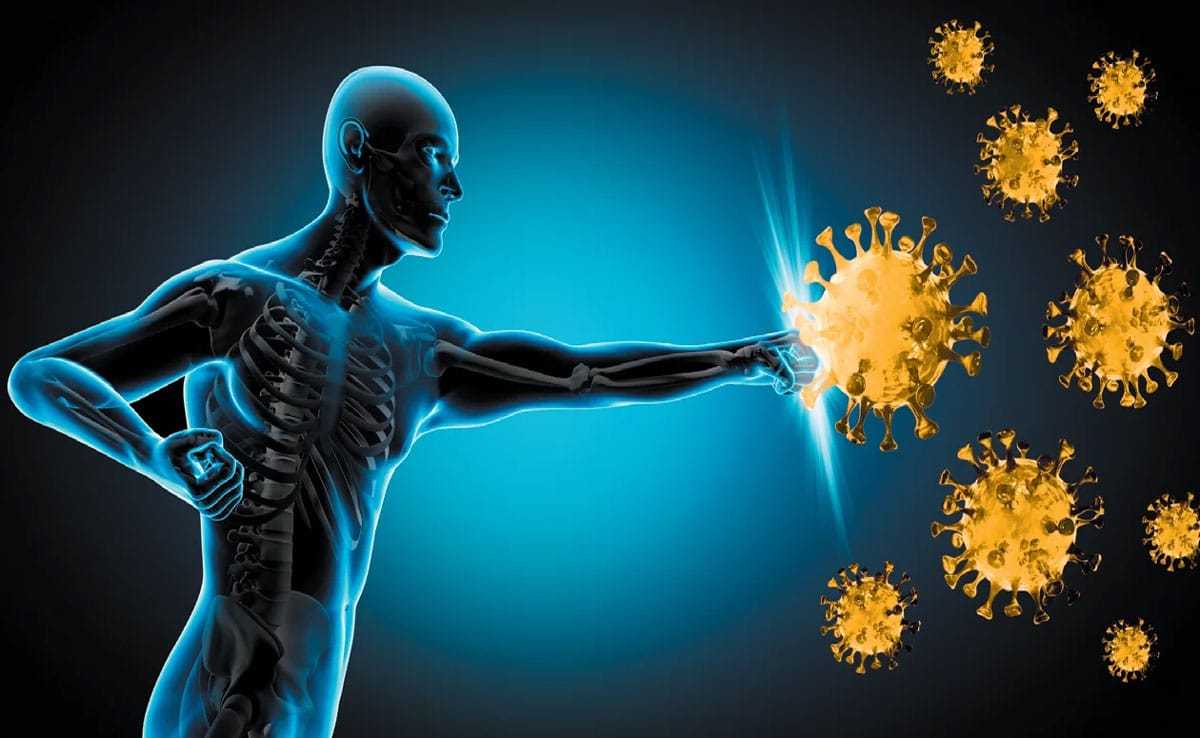 Boost immunity Drinking white pumpkin juice on an empty stomach can cure these 5 health problems