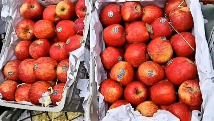 Boycott of Turkish apples in Pune