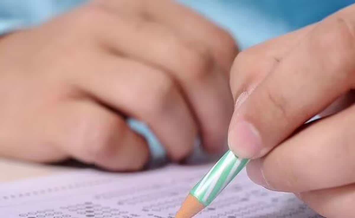 
CUET UG 2025 exam city slip released, download here