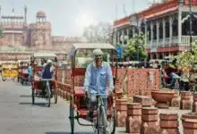 Delhi govt's new strategy to deal with the heatwave