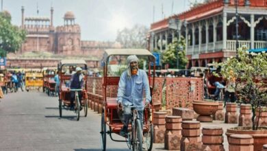 Delhi govt's new strategy to deal with the heatwave