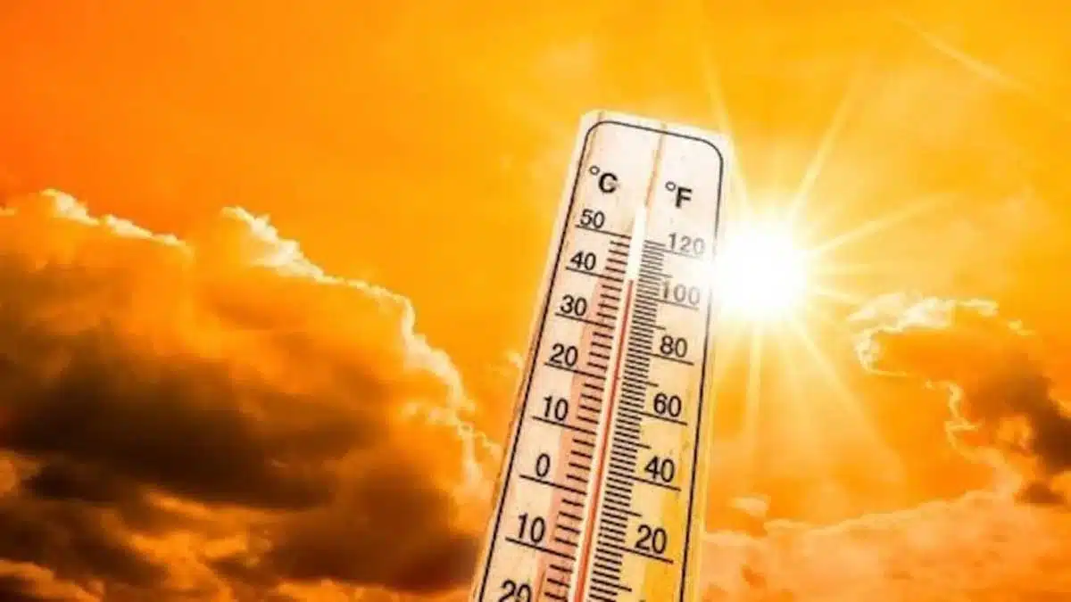 Delhi govt's new strategy to deal with the heatwave