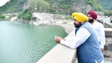 Deployment of CISF at Bhakra Dam is a burden on Punjab