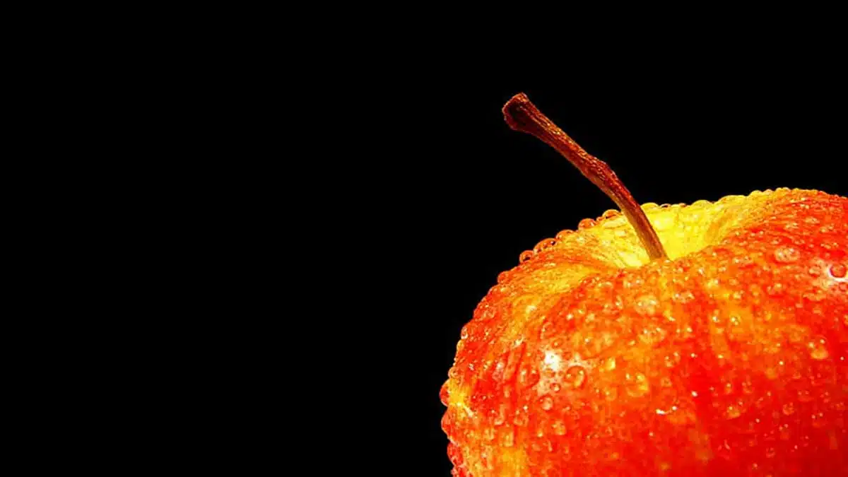 Dietary Changes: Essential for Nutrient