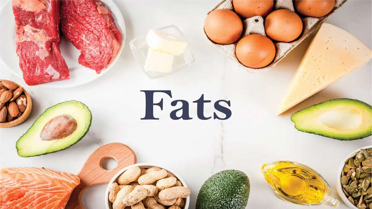 Healthy Fats3 The Importance of Healthy Fats: Role of Nuts, Seeds