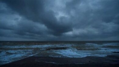 Heavy rain wreaks havoc in Karnataka