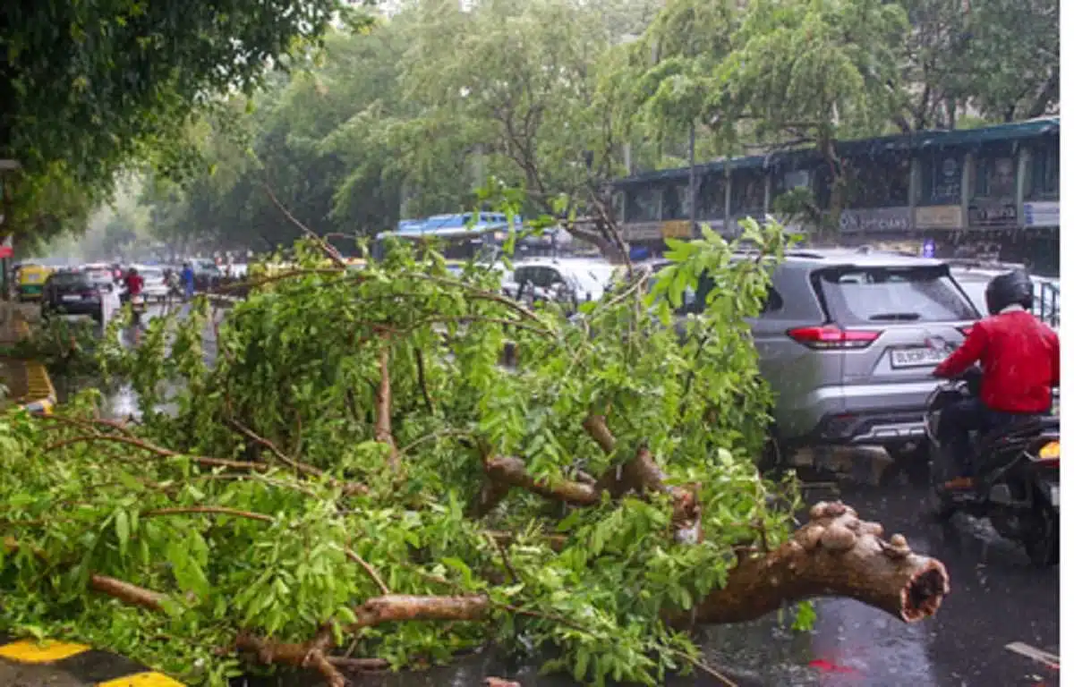 Heavy storm in Pakistans Punjab province 3 Heavy storm in Pakistan's Punjab province