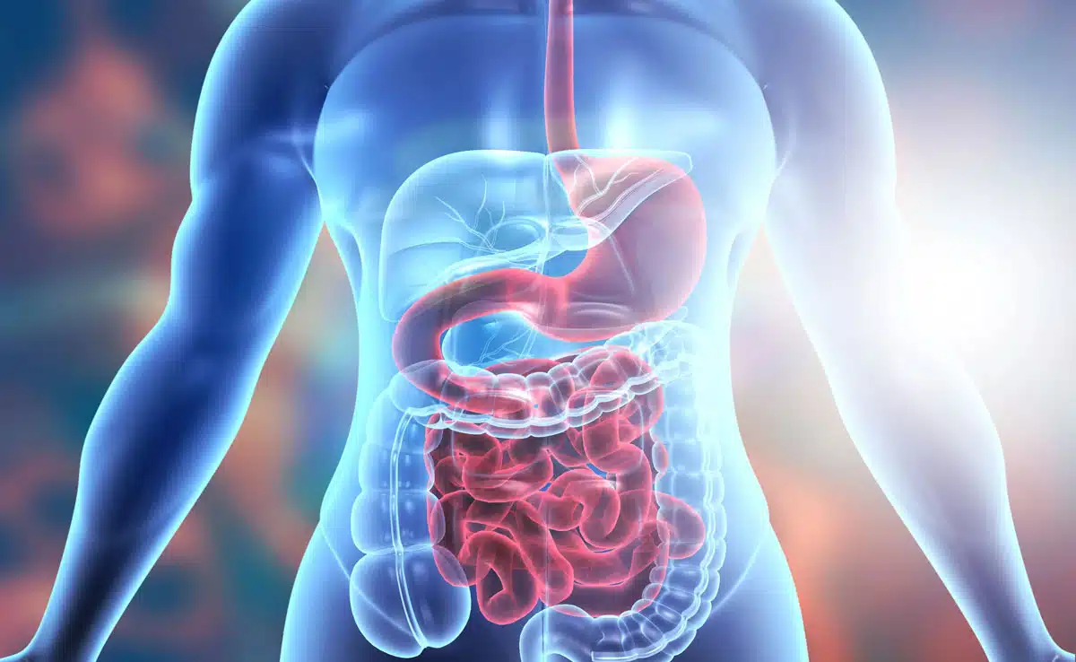 Improves digestion Control these 6 health problems with ginger, adopt the right method of consumption