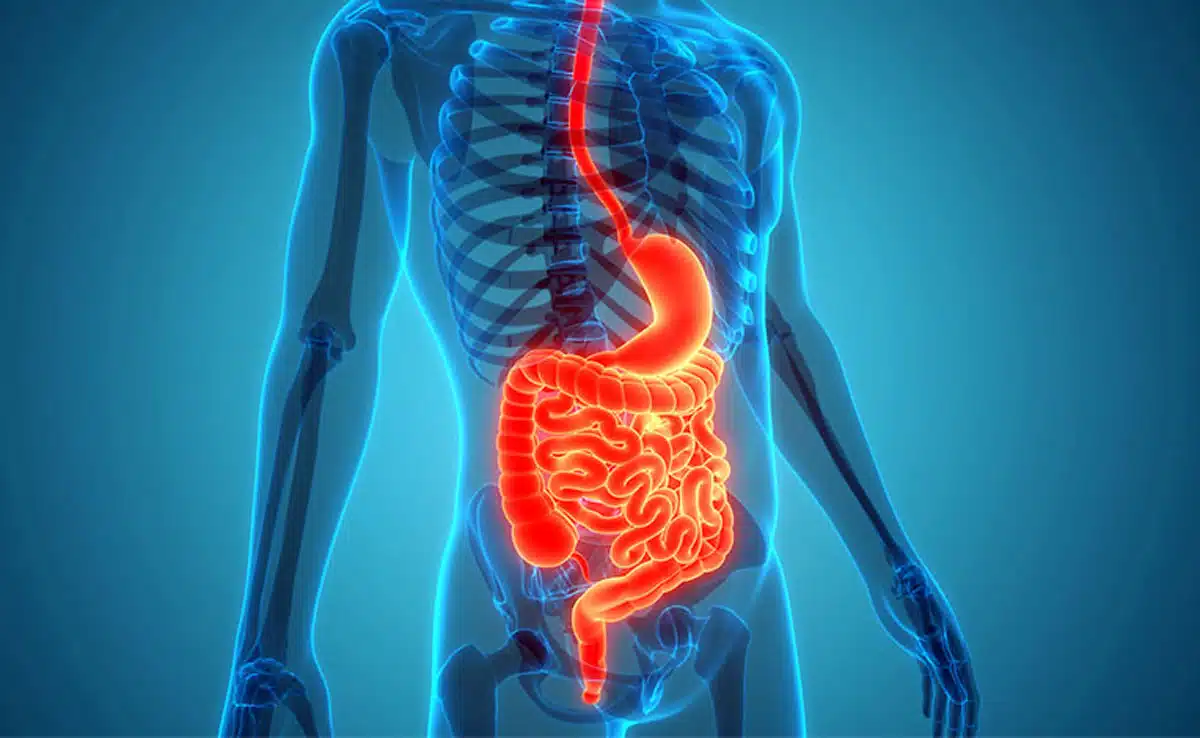 Improves digestive system Drinking white pumpkin juice on an empty stomach can cure these 5 health problems