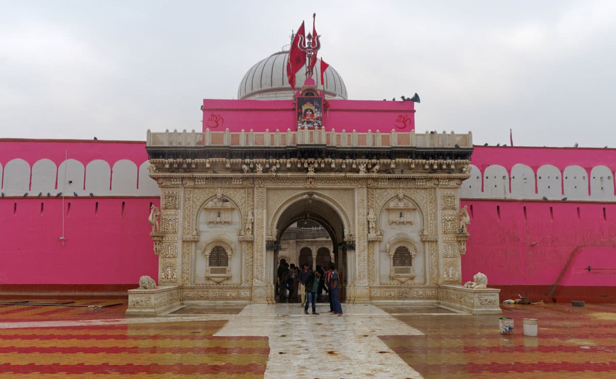 PM Modi offered prayers at the Karni Mata Temple in Bikaner, Rajasthan