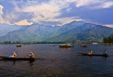 Markets open in Kashmir after 6 days