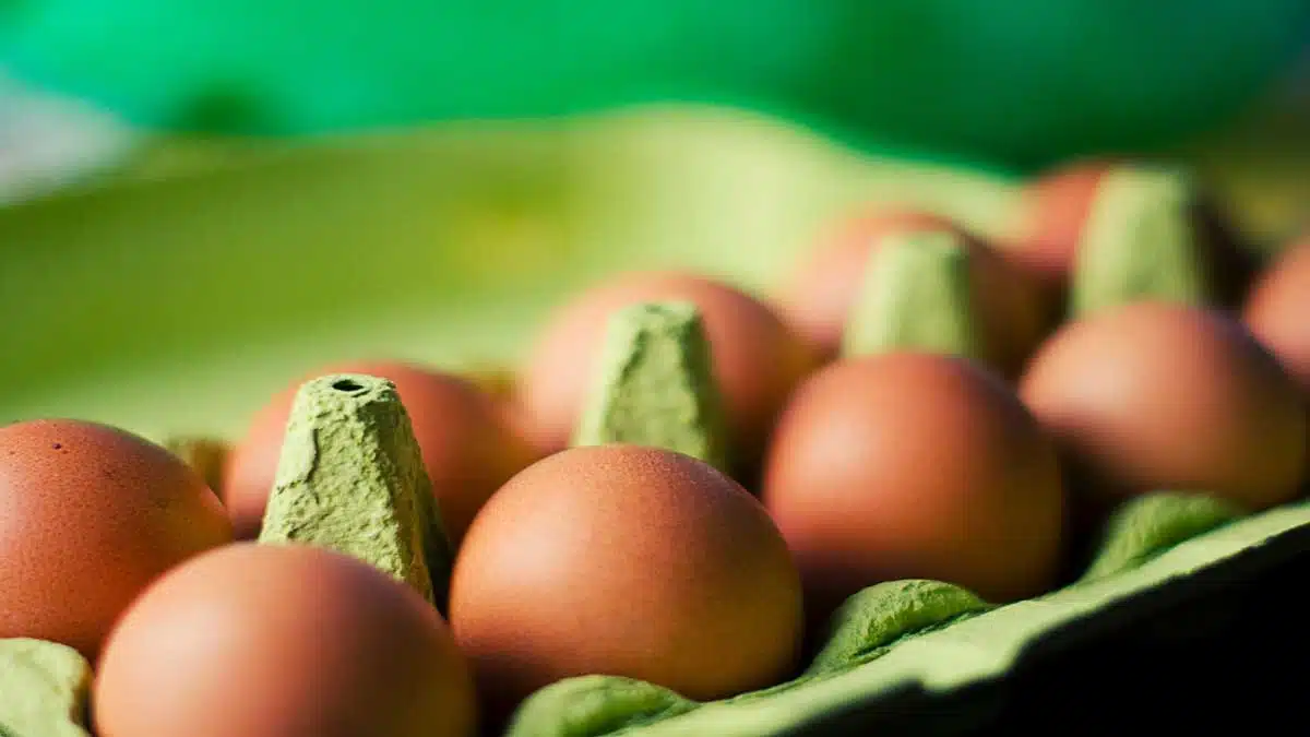 Omega-3 Fatty Acids: Essential Nutrients