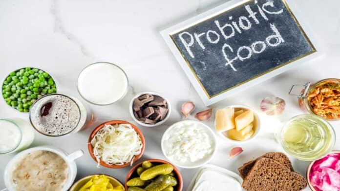 Probiotics: Essential Foods for Maintaining a Healthy