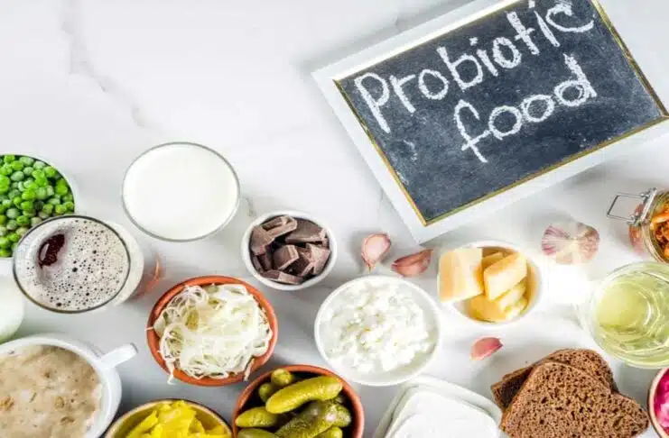 Probiotics: Essential Foods for Maintaining a Healthy