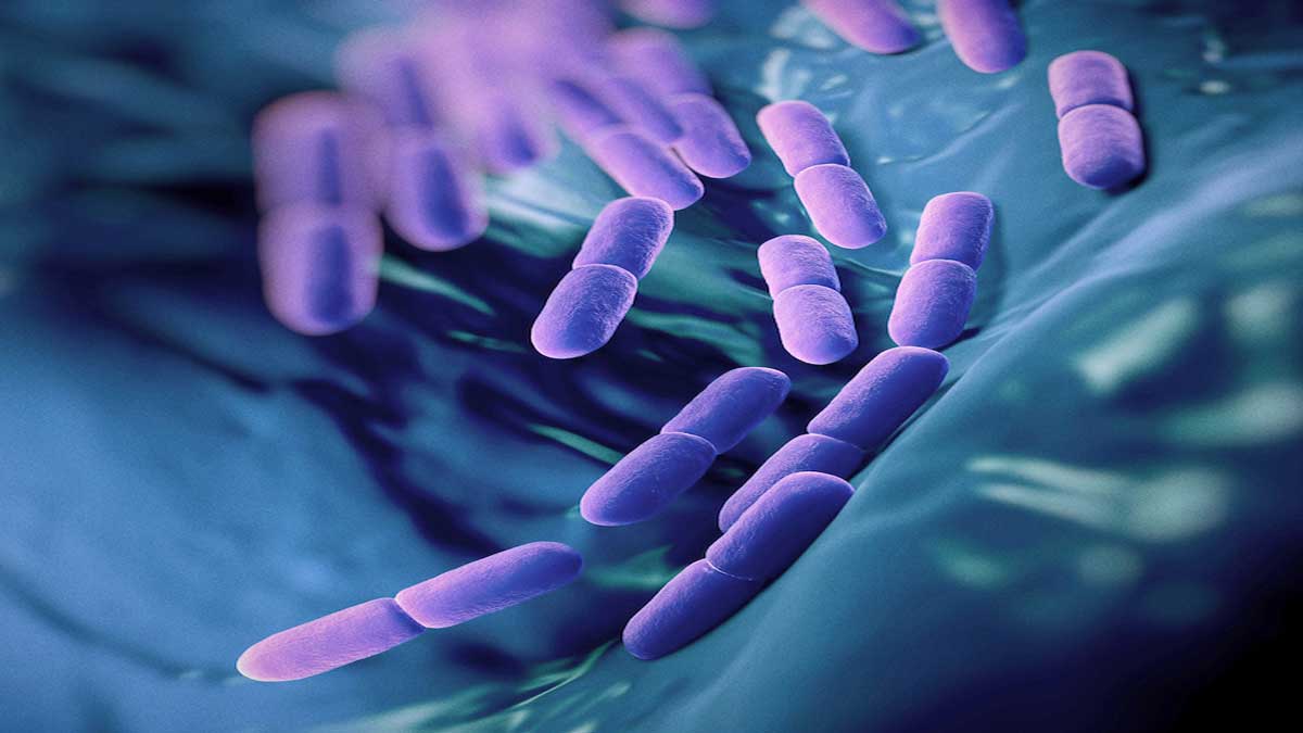 Probiotics2 Probiotics: Essential Foods for Maintaining a Healthy