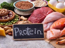Protein-Rich Diet: The Key to a Healthy