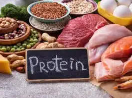 Protein-Rich Diet: The Key to a Healthy