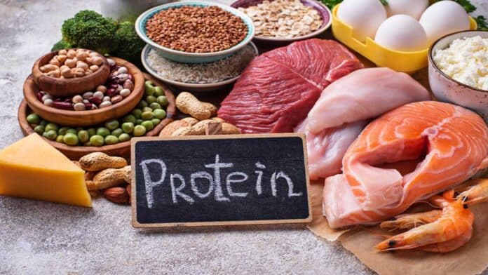 Protein-Rich Diet: The Key to a Healthy