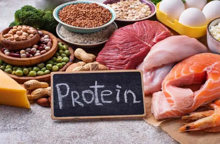 Protein-Rich Diet: The Key to a Healthy
