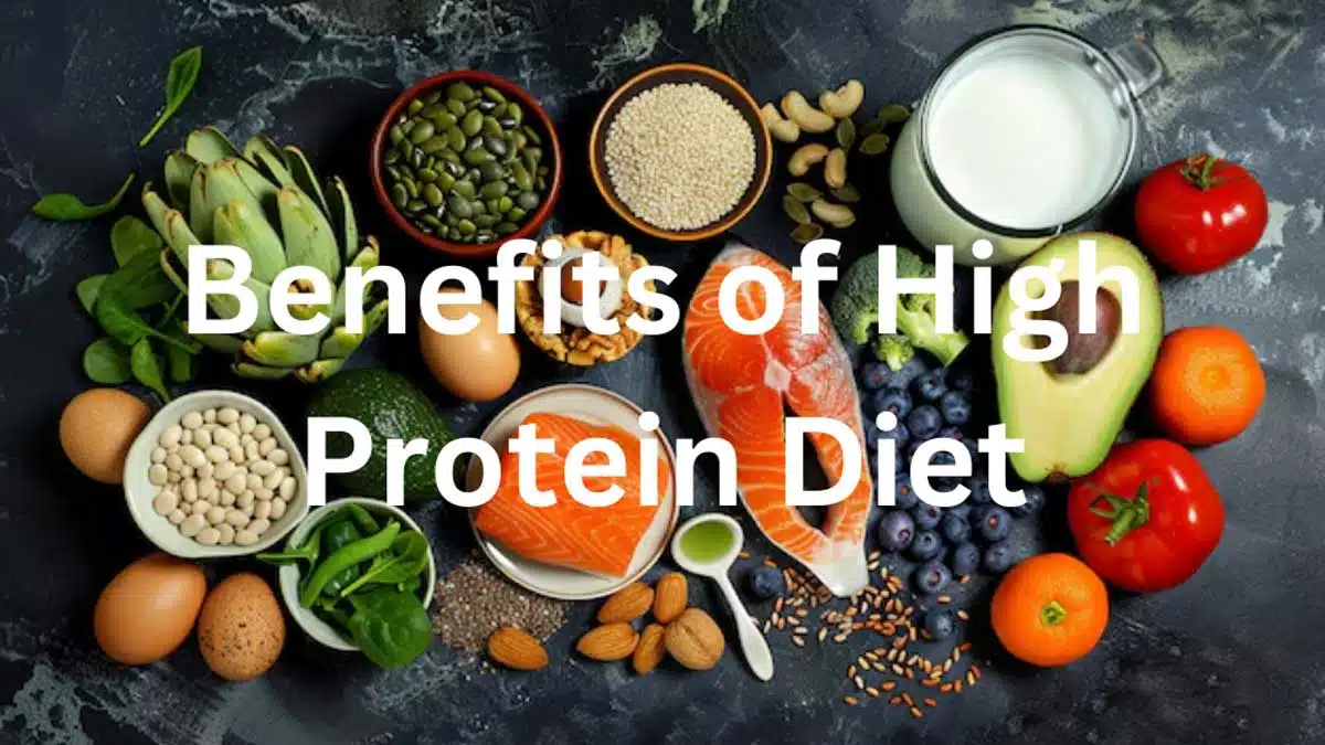 Protein-Rich Diet: The Key to a Healthy