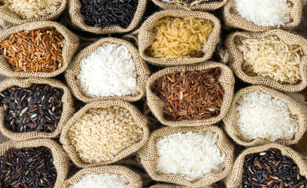 Rice Pangenome 1 The first 'pangenome' of Asian rice
