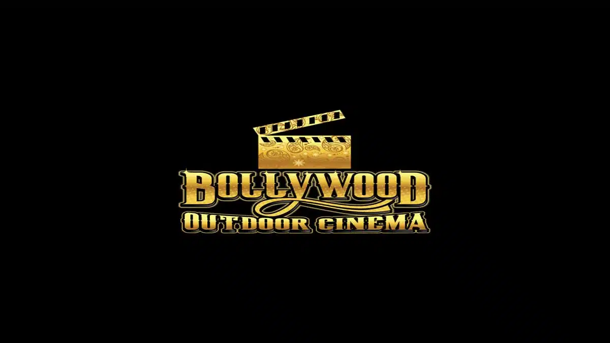 The Success of Bollywood Movies: Reasons