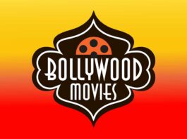 The Success of Bollywood Movies: Reasons