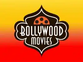 The Success of Bollywood Movies: Reasons