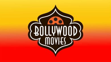 The Success of Bollywood Movies: Reasons