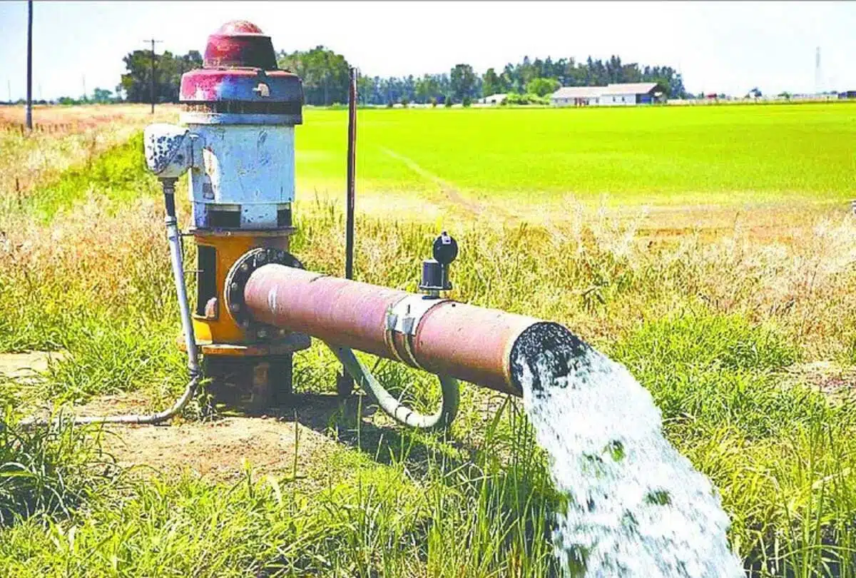 Uninterrupted power supply ensured for paddy sowing in Punjab 4 Uninterrupted power supply ensured for paddy sowing in Punjab