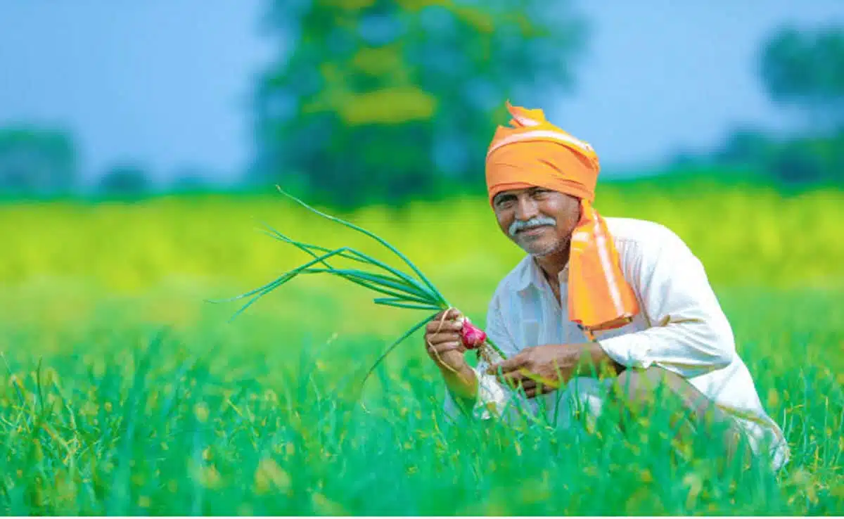 Shivraj Singh Chouhan's announcement: New beginning of innovation and cooperation in agriculture