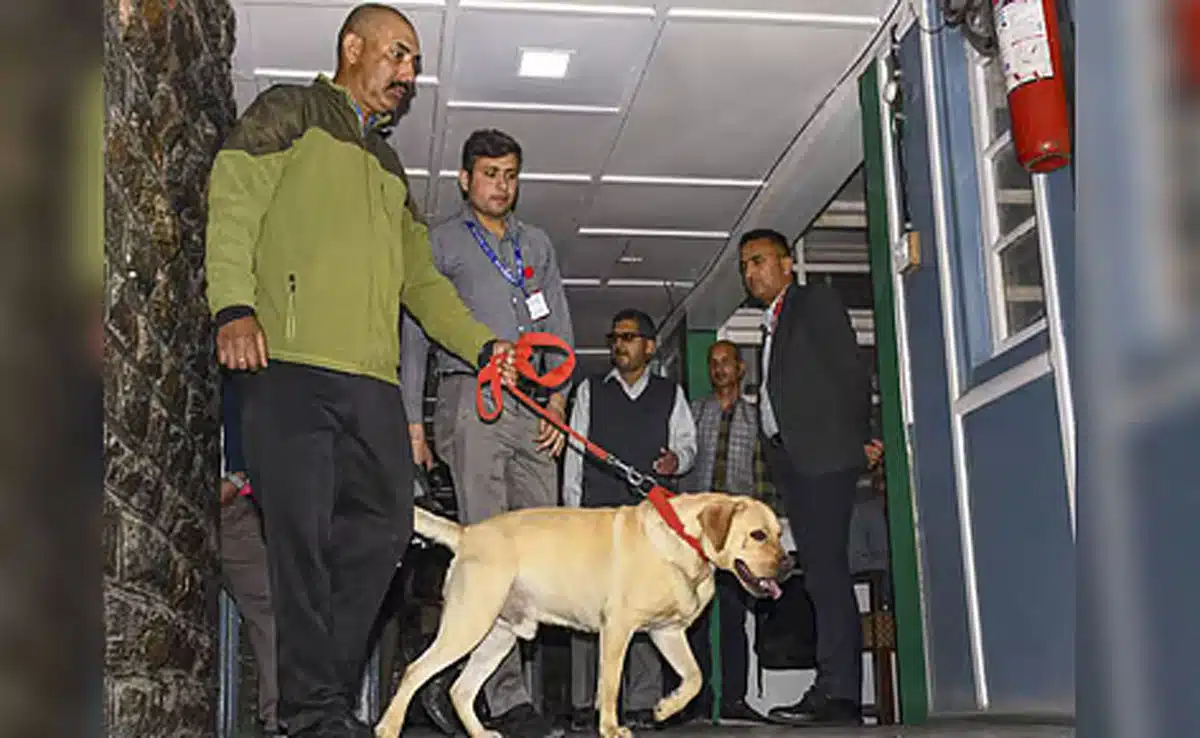 bomb threat 1 Bomb threat in Himachal's Kullu district, police and security personnel on high alert
