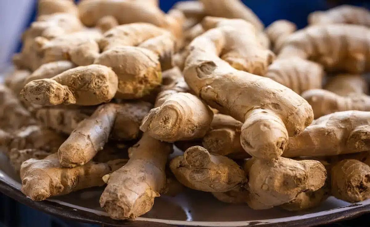 Drink ginger and coriander seed tea on an empty stomach, you will get these 6 amazing health benefits