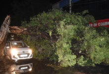 More than 30 people died due to heavy rain and storm in UP in the last 24 hours